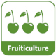 Fruiticulture